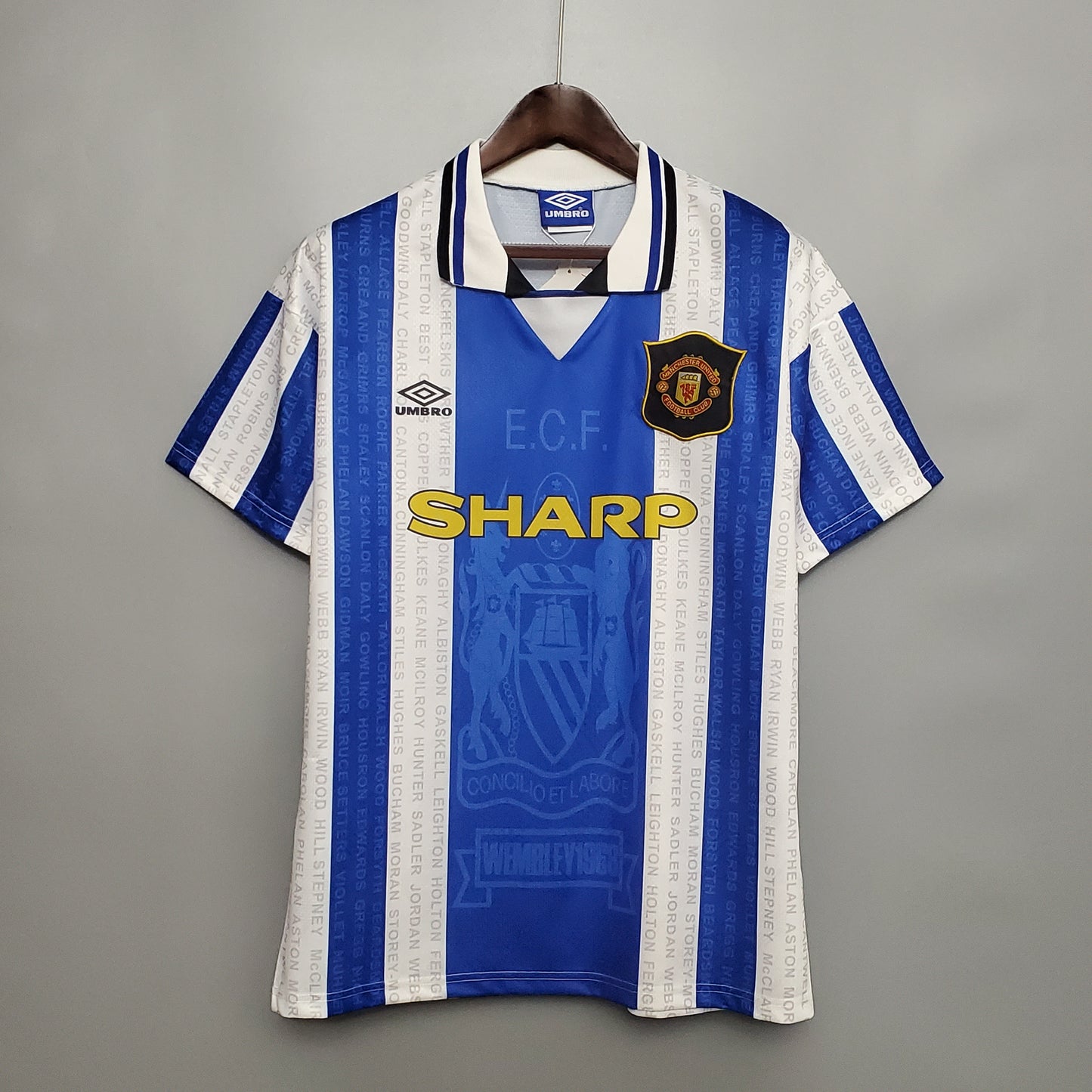 Manchester United 95/96 Third Away Jersey